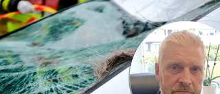 Få olyckor i pandemin – men nu ökar viltolyckorna igen