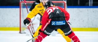 Detaljen i Sellgrens nya kontrakt: "En betydande summa"