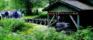 Studiebesök vid Oxebo såg