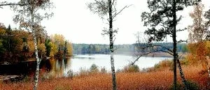 Länsstyrelsen riktar kritik mot Gertrudsviks planer