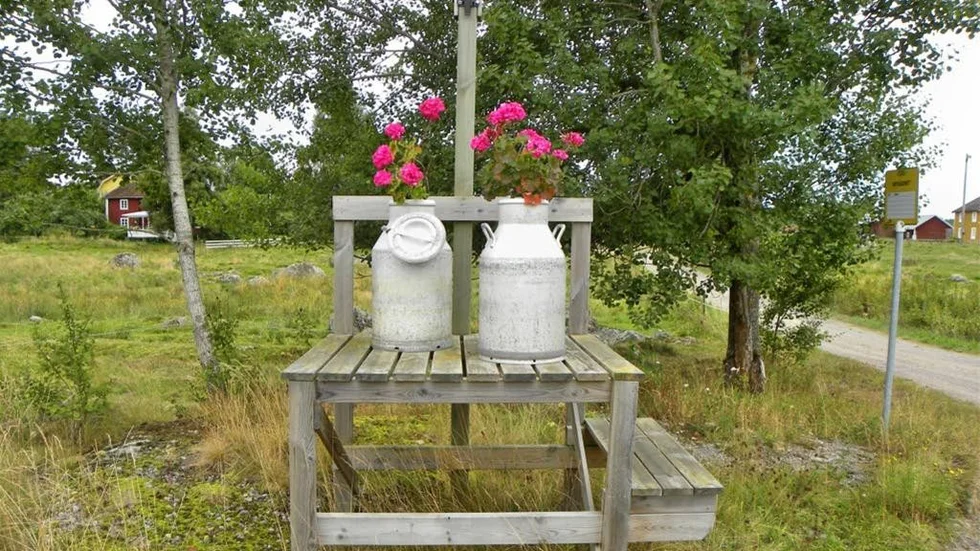 Hur ska landsbygdens kunna blomstra? Diskussionen om landsbygdsprorammet går vidare.