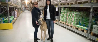 Trixie i Norrfjärden ett växande bolag
