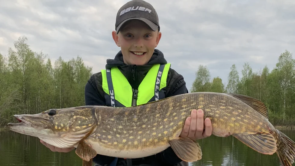 Frans Öberg, 12, har fått en fin start på fiskesäsongen. Han landade och återutsatte en gädda på sju kilo i Bodsjön.