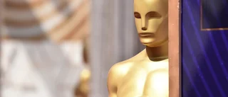 Oscarsakademin utser ny vd