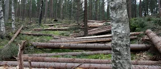 Den brukade skogen gör mest nytta