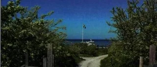 Hablingar fiskade på Karlsö