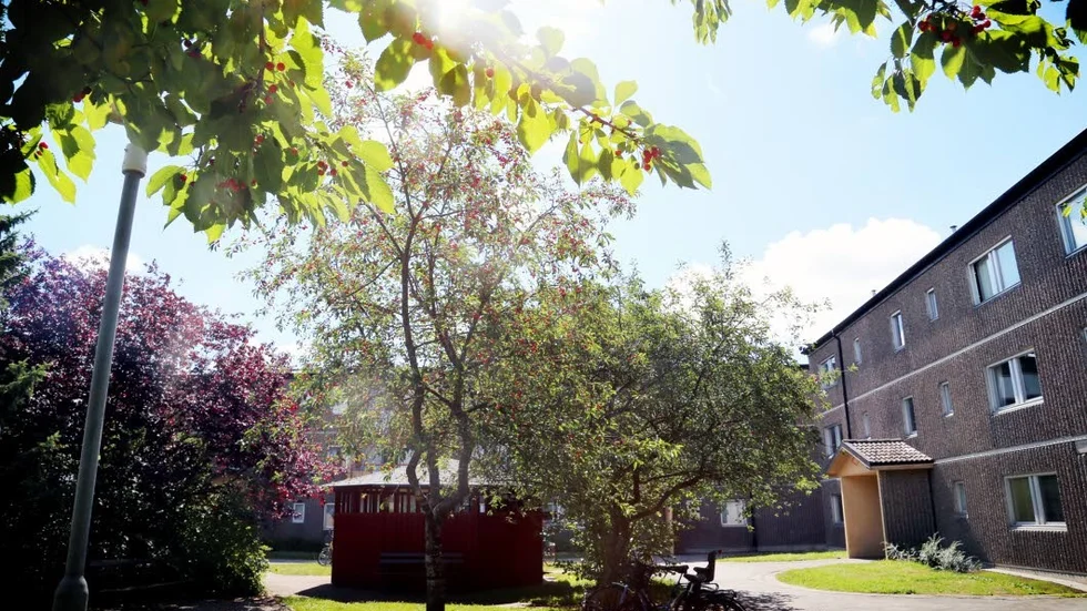 Chockhöjda hyror kan vänta hyregästerna efter en borgerlig valseger.