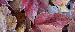 VÄDER Meteorologen lovar både snö och tö