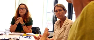 Så ska de 55 miljonerna användas