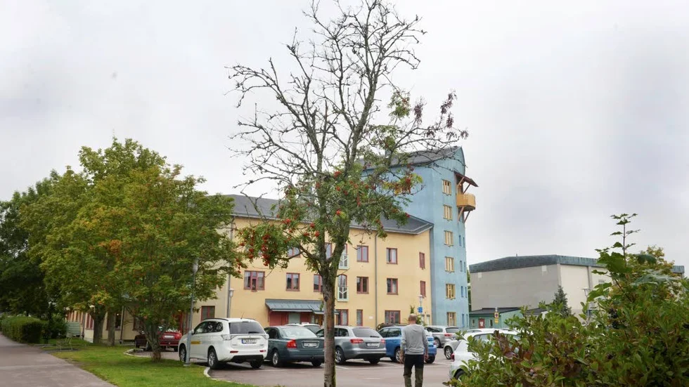 En av de döda rönnarna.