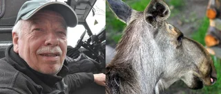 Kommunjägaren: "Sällan någon skadas av älg"