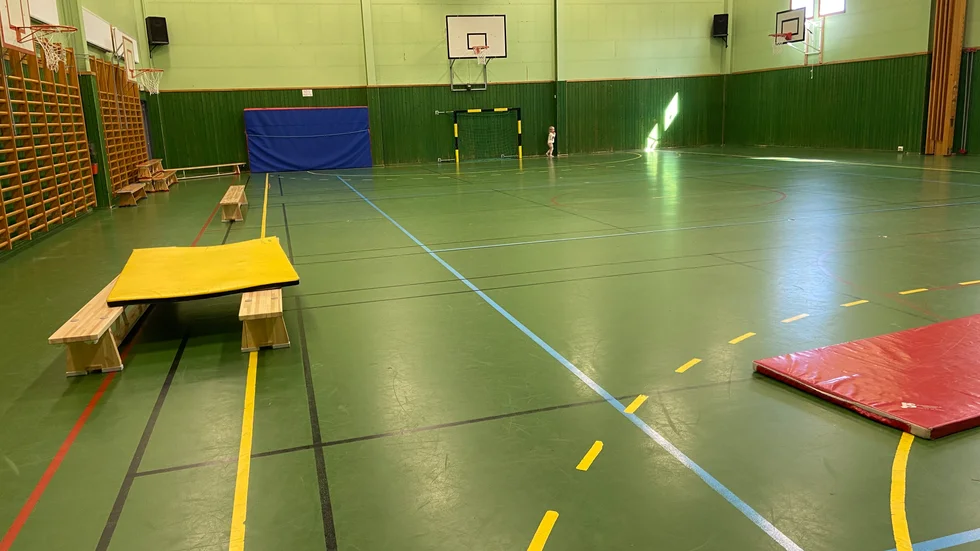 En av de sportanläggningar som kommer att få en upprustning snart är Björkviks sporthall, skriver Anneli Hedberg (S) i en insändare.