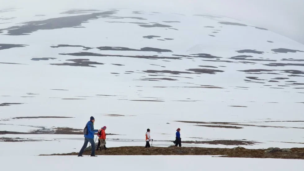 Kungsleden 2015. Så här såg det ut i juli 2015. Nu är det risk för liknande förhållanden i år.