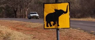 Zimbabwe kan åter bli ett stort och välbesökt turistmål
