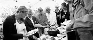 Proffsigare sommarfest