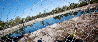 "Ojnare värd mer än kalkjobb"