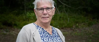 Monica Johansson om tågen: "Förstår att tålamodet är i botten"