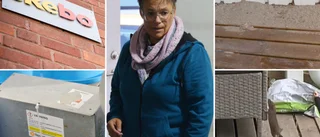 Stora råttproblem i Bergsbyn – boende i området kritiska mot Skebo: ”Jag kan vakna av att det kryper i väggarna”