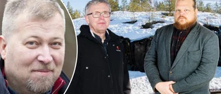 Professorn: Kalix villabeslut kan strida mot kommunallagen