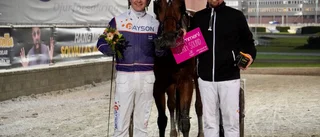 Ny Redén-häst klar för Elitloppet