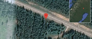 Kor på vägen på E10
