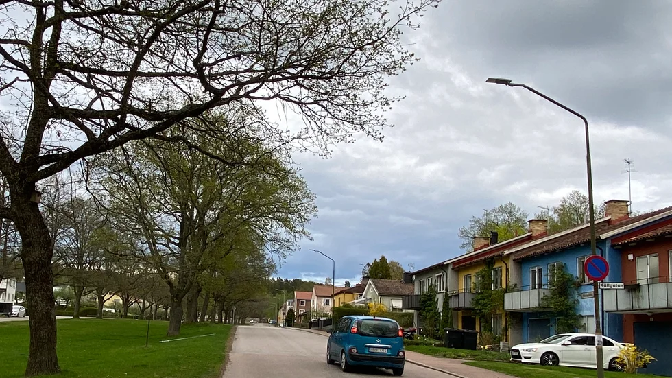 Parkeringsförbudet på Skolgatan har kommit till för att skydda träden i allén och skapa bättre framkomlighet på gatan.