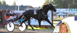 Inför V75 • Hemmahopp i dagens dubbeljackpot på Skellefteåtravet: ”Gjort bra lopp hela tiden”