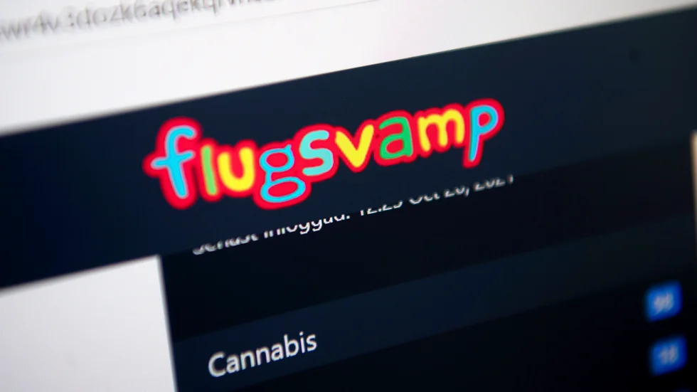 Sajten Flugsvamp har liknats vid ett Blocket för droger. Arkivbild.