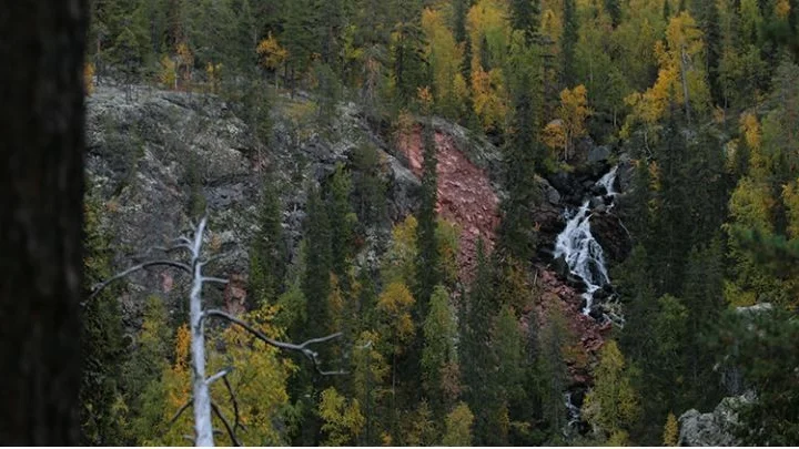 Vy över kanjonen i naturreservatet Njietjagårsså.