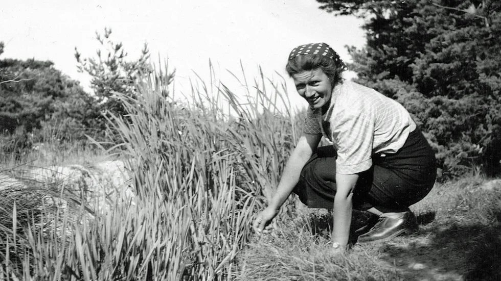 Anna Kajsa Hallgard. 