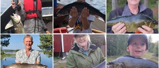 Det börjar dra ihop sig i Nappataget