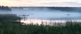 Dimma över Rörbäck            