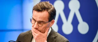 Gängbrottsligheten överskuggar all annan politik