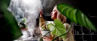 Josephine, 28, handlar med växter – för tusentals kronor: "Plantorna är mina bäbisar"
