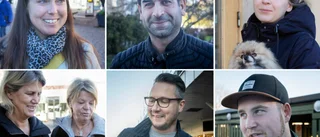Gotlänningarna om de nya kompostpåsarna i papper– "Jag säger bu till detta. De blir för soggiga"