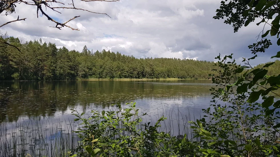 Den 16 maj arrangeras guidad vanding i Hästenäs kyrkoskog, ett av många evenemang inom Åtvidabergs kommun under friluftslivets år. 