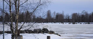 Saknad skidåkare i Kalix tros ha omkommit – hund har hittats död i vak: "Ser tyvärr mörkt ut"