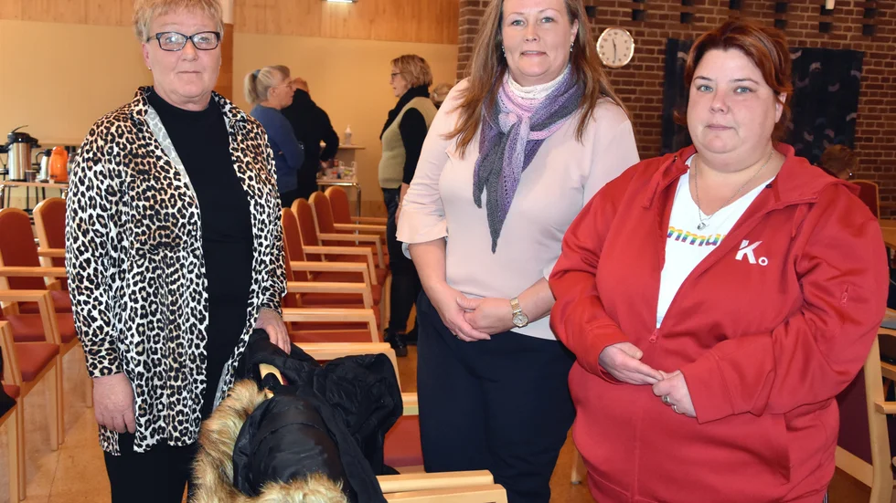 Kristina Henriksson, Mona Rosenlid och Anna Johansson säger att granskningen tar upp vad de också ser ute i verksamheterna.