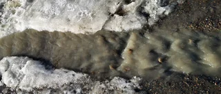 Läsarbilden                   