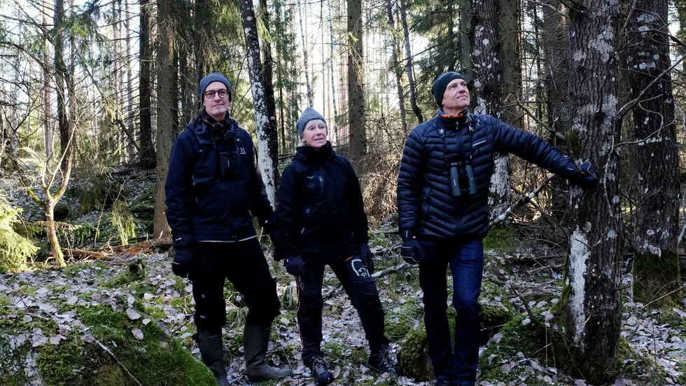 Göran Arnqvist, Inger Andersson och Per Alström är initiativtagare till det upprop där nästan 400 universitetsanställda protesterat mot avverkningsplaner i Nåsten. Nu stoppas avverkningen helt.