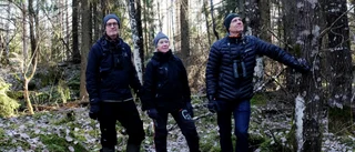 Efter forskarnas strid – avverkningplaner dras tillbaka