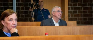 LVU-pappan hade tungt uppdrag i SD när partiet hjälpte dem