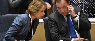 Strandhäll och Löfven svek de sjuka