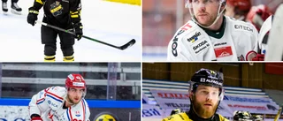 Hockeyallsvenskan slutspelad – så gick det