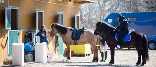 Austur hoppas på ovalbana till säsongen 2023