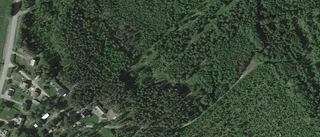 35-åring ny ägare till lantbruksfastighet i Hemmingsmark - 1 500 000 kronor blev priset