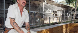 Stora kattdjur flyttade från "Tiger king"-zoo