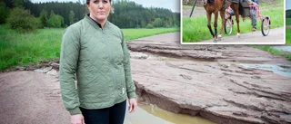 Regn förstörde travbana för elitloppshästen Gelati Cut: "Vi är beroende av att banorna funkar"