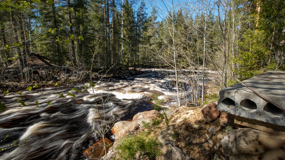 Bron som byggdes förra sommaren höll inte måttet. Nu ska en ny stadigare bro sättas upp över Bröstfallet.