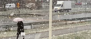 April, april – jag bjuder på vilket väder jag vill